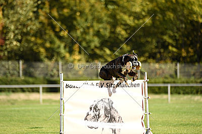 Balin von Moria`s Tor